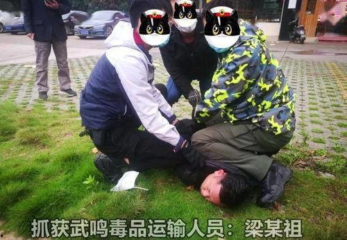 南宁警方爆料案件最新,涉案金额高达数亿元 第2张 南宁警方爆料案件最新,涉案金额高达数亿元 第2张